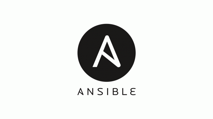 Automating Your Assets: The Amazing Advantages of IT Infrastructure Automation with Ansible